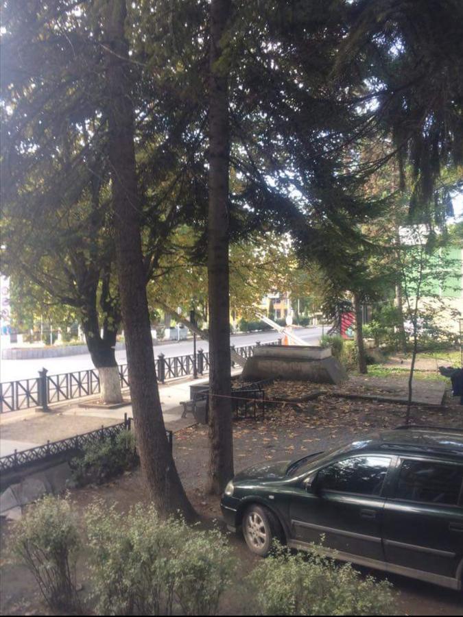 מלון קאחתי Old House Rustaveli מראה חיצוני תמונה